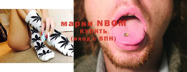 стафф Арсеньев