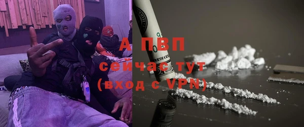 стафф Арсеньев