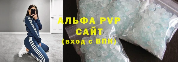 стафф Арсеньев