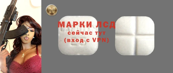 PSILOCYBIN Рославль
