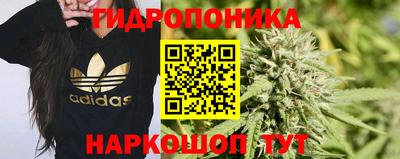 хмурый Нальчик