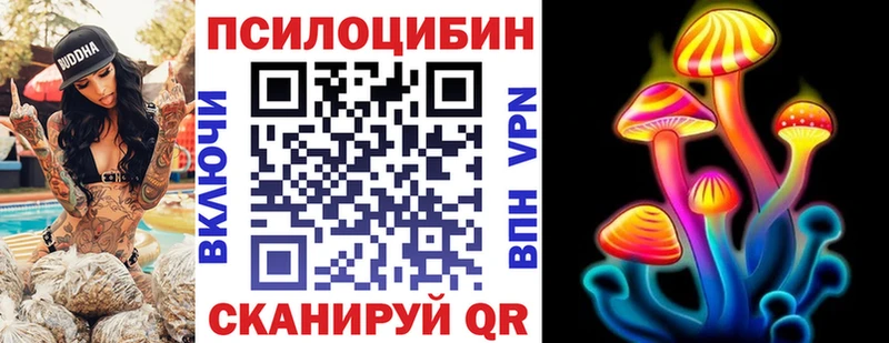 купить наркотики цена  Евпатория  Псилоцибиновые грибы мухоморы 